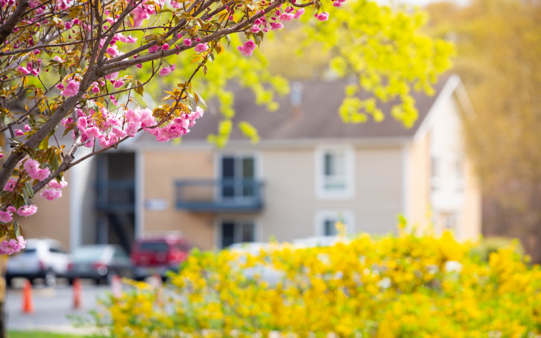 Tips for Buyers in the Spring Market