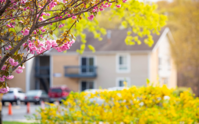 Tips for Buyers in the Spring Market